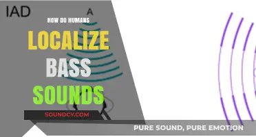 How Humans Pinpoint Bass Frequencies: The Science of Sound Localization