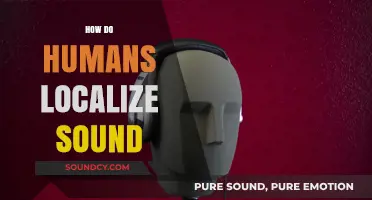 How Humans Pinpoint Sound: The Science of Auditory Localization