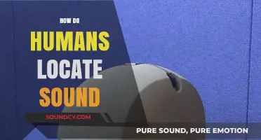 Unraveling the Science: How Humans Accurately Locate Sound Sources