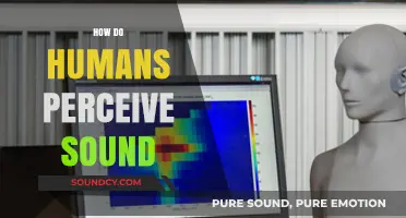 Unraveling the Mysteries of Human Sound Perception: How We Hear