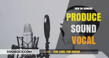 Unveiling the Science Behind Human Voice Production and Sound Creation