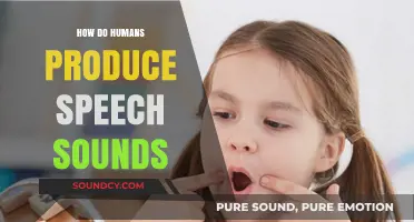 Unraveling the Art of Human Speech: How We Produce Sounds