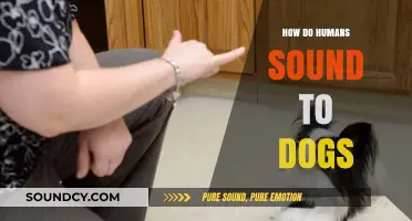 How Do Human Voices Sound to Dogs? A Canine Perspective
