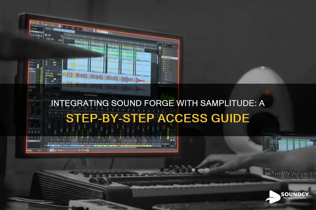 how do i access sound forge from within samplitude