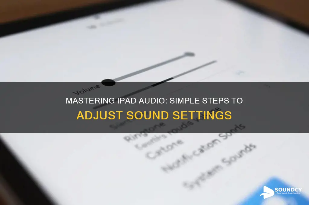 how do i adjust the sound on my ipad