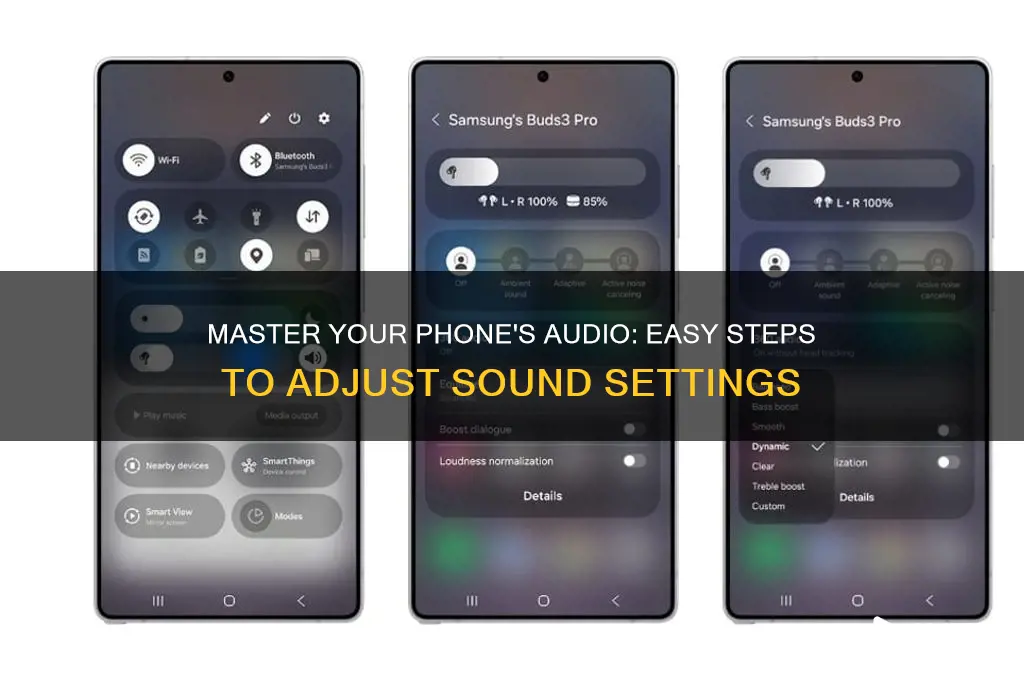how do i adjust the sound on my phone