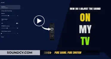Master Your TV Audio: Simple Steps to Adjust Sound Settings