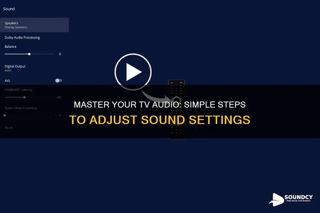 how do i adjust the sound on my tv