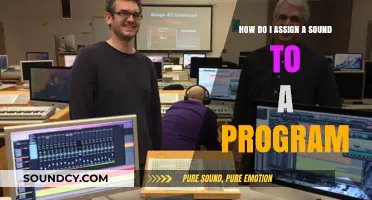 Assigning Custom Sounds to Programs: A Step-by-Step Guide for Beginners