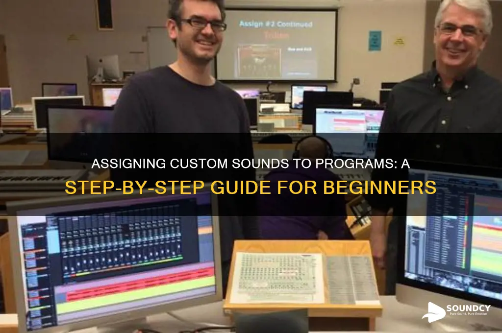 how do i assign a sound to a program