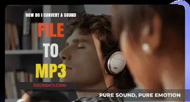 Easy Guide: Converting Any Sound File to MP3 Format
