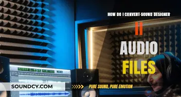 Converting Sound Designer II Audio Files: A Step-by-Step Guide