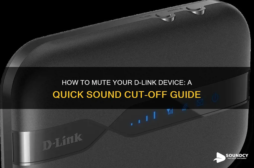how do i cut off sound on my dlink