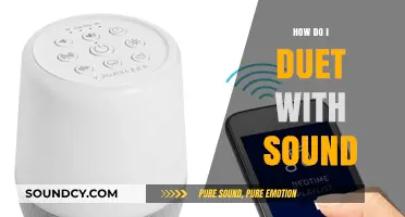Mastering the Art of Duetting with Sound: A Step-by-Step Guide