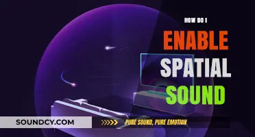 Enable Spatial Sound: A Step-by-Step Guide for Immersive Audio Experience