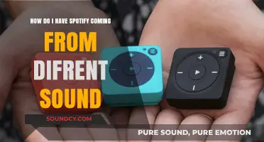 How to Play Spotify on Different Devices Simultaneously: A Guide