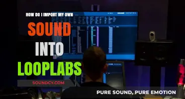 Importing Custom Sounds into Looplabs: A Step-by-Step Guide