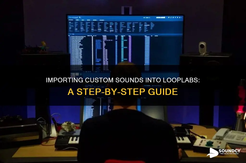 how do i import my own sound into looplabs