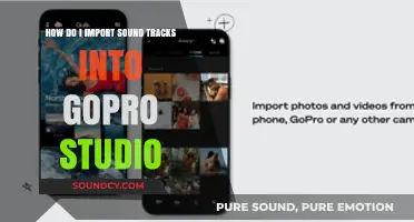 Importing Sound Tracks into GoPro Studio: A Step-by-Step Guide
