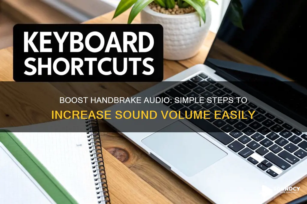 how do i increase the sound volume on handbrake