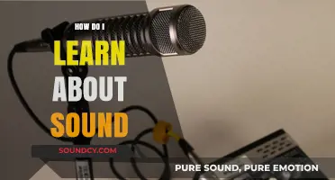 Exploring Sound: A Beginner's Guide to Understanding Audio Fundamentals