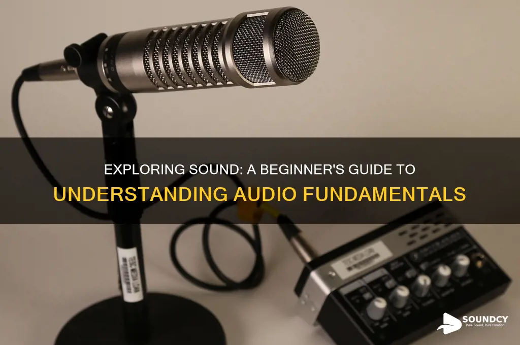 how do i learn about sound