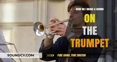 Mastering Trumpet Sounds: Essential Techniques for Beginners to Produce Notes