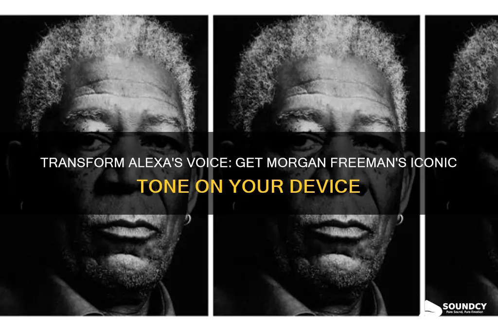 how do i make alexa sound like morgan freeman