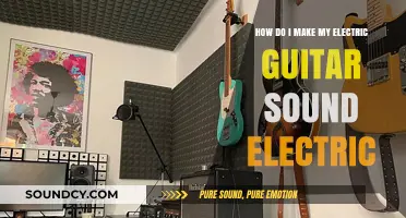 Amplify Your Tone: Mastering the Electric Guitar's Signature Sound