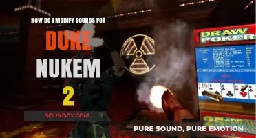 Modifying Duke Nukem 2 Sounds: A Step-by-Step Customization Guide