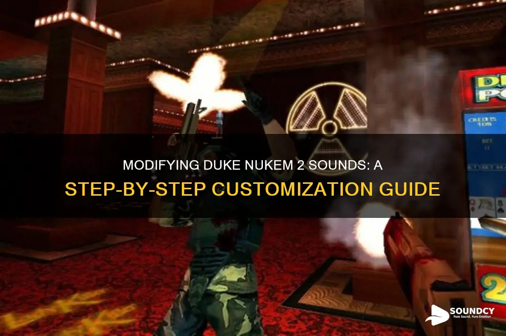 how do i modify sounds for duke nukem 2