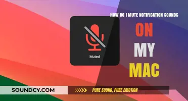 How to Mute Notification Sounds on Your Mac: A Quick Guide