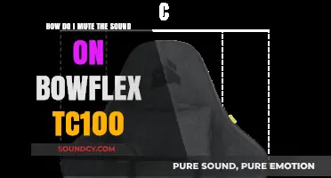Quick Guide: Muting Sound on Your Bowflex TC100 TreadClimber