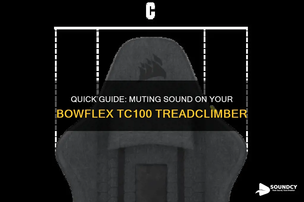 how do i mute the sound on bowflex tc100