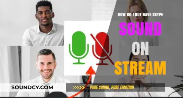 Mute Skype Audio: Streaming Without Unwanted Sounds in Simple Steps