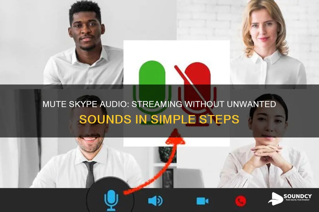 how do i not have skype sound on stream