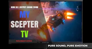 How to Output Sound from Your Scepter TV: A Step-by-Step Guide