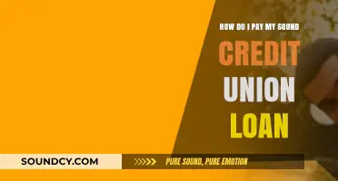 Easy Steps to Pay Your Sound Credit Union Loan Online
