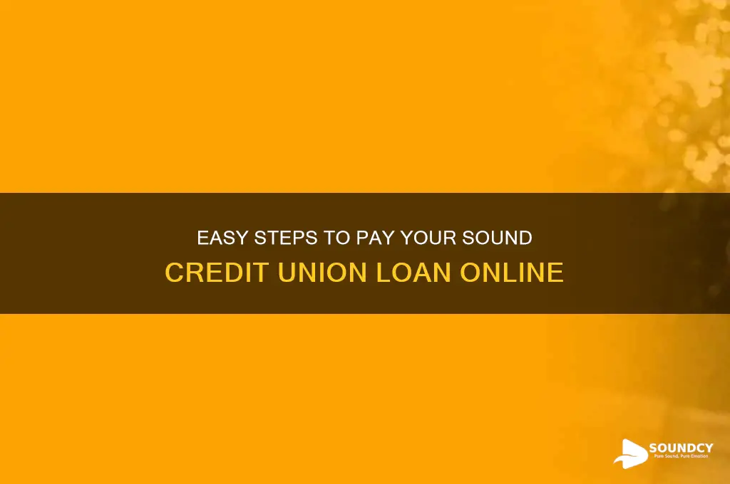 how do i pay my sound credit union loan
