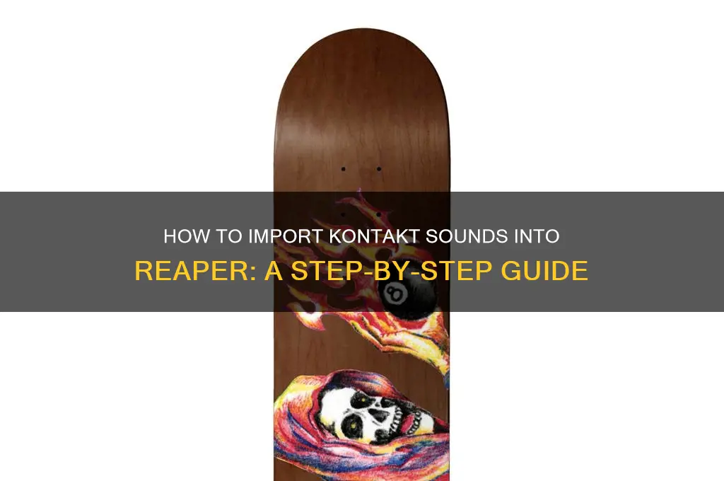 how do i put my kontakt sounds in reaper