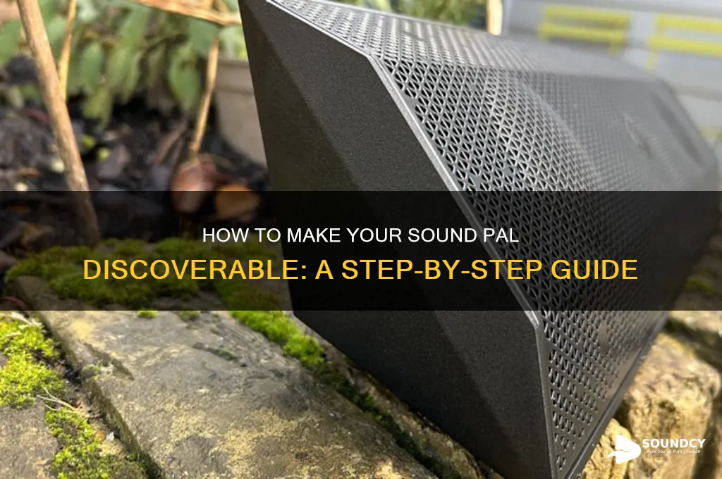 how do i put my sound pal in discoverable