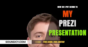 Enhance Your Prezi: Adding Sound to Your Presentation Easily