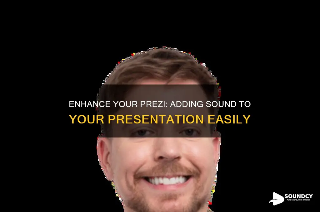 how do i put sound to my prezi presentation