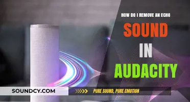 Eliminate Echo: Simple Steps to Remove Echo Sound in Audacity