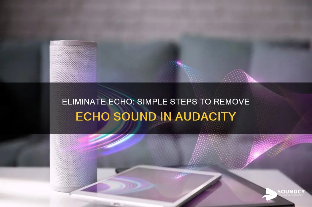 how do i remove an echo sound in audacity