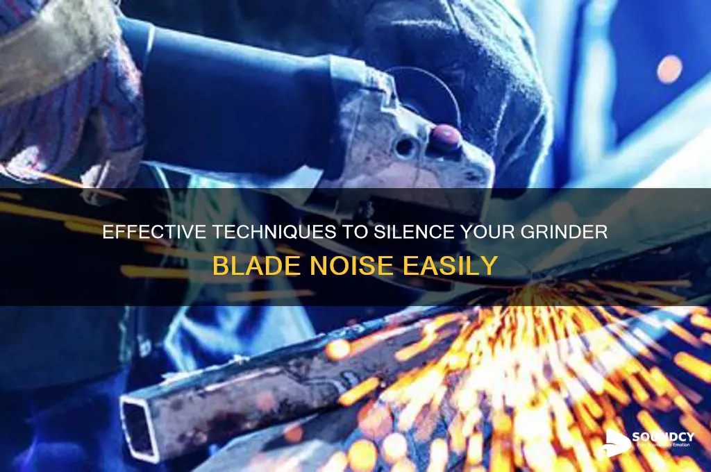 how do i remove the sound of grinder blade