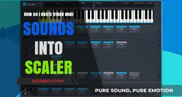 Routing MIDI Sounds into Scaler: A Step-by-Step Guide for Producers