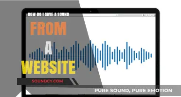 Easy Steps to Download and Save Sounds from Any Website