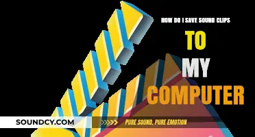 Easy Steps to Save Sound Clips on Your Computer