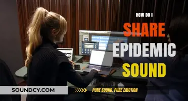 Sharing Epidemic Sound: A Step-by-Step Guide for Creators and Users